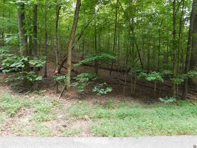 0 Champion Hills Road #Lots 81, 82, 83, Kuttawa, KY 42055 - #2