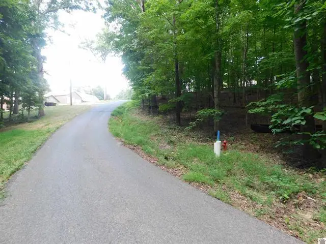 0 Champion Hills Road #Lots 81, 82, 83, Kuttawa, KY 42055 - #3