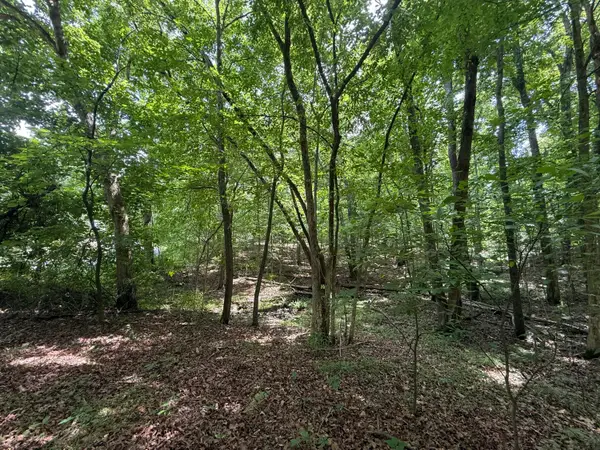000 Waterway Trail #Lot 70B - Keniana Lake Shore, New Concord, KY 42076