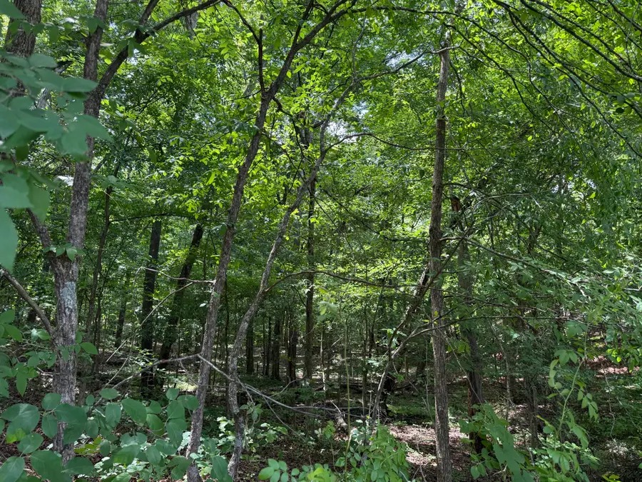 000 Waterway Trail #Lot 70B - Keniana Lake Shore, New Concord, KY 42076 - #2