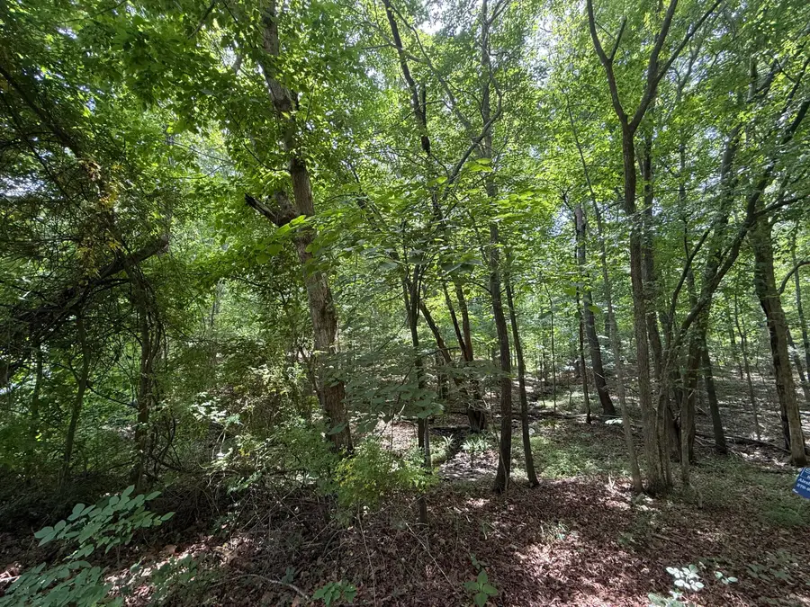 000 Waterway Trail #Lot 70B - Keniana Lake Shore, New Concord, KY 42076 - #3
