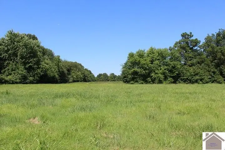 1511 Cuba Road, Mayfield, KY 42066 - #1
