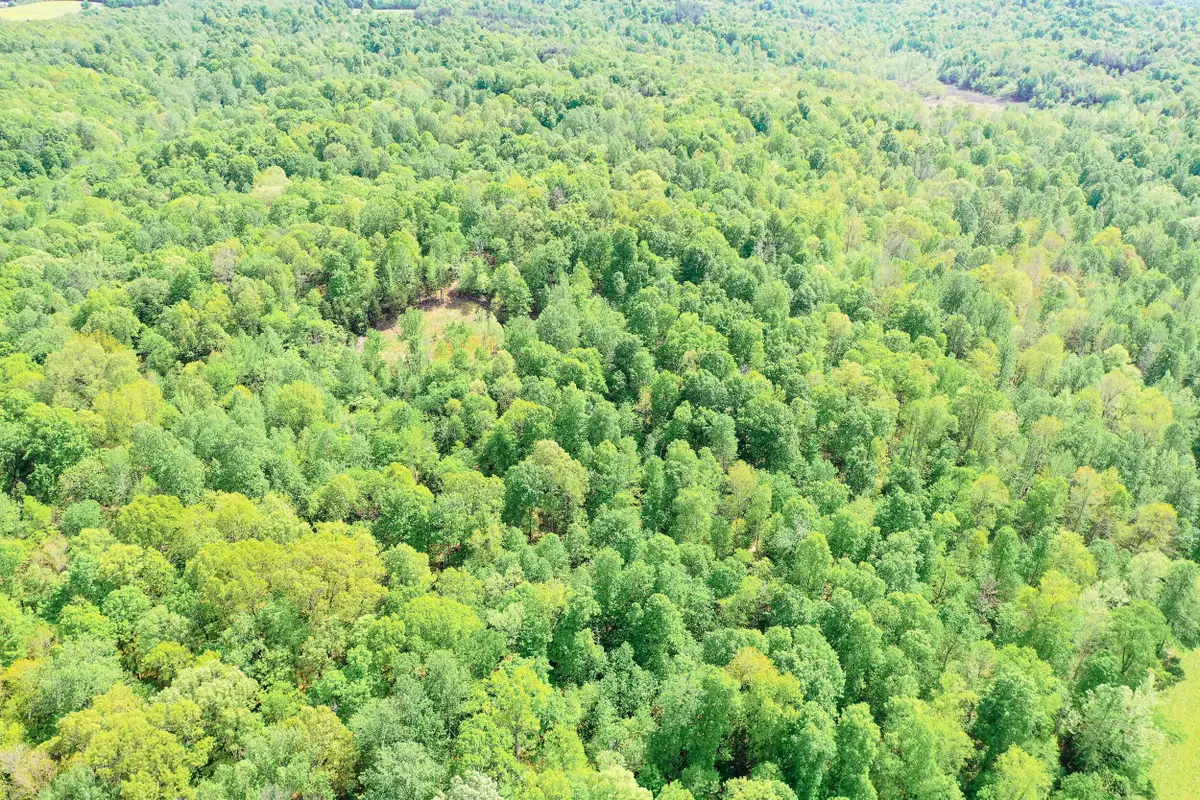 406 Lakewood Road #Tract 3, Princeton, KY 42445 - #1