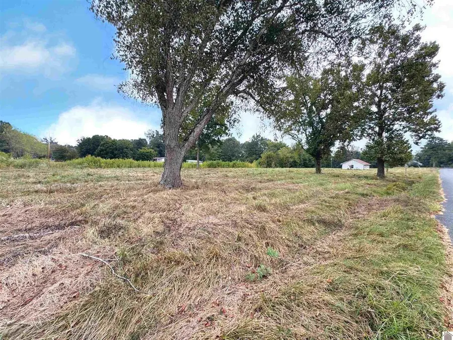 505 5th Street, Hazel, KY 42049 - #2