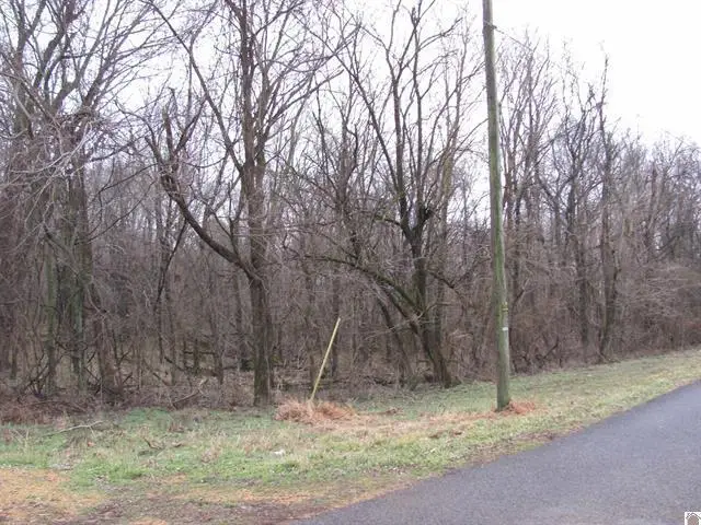 0 0 Rogers Loop, Mayfield, KY 42066 - #1