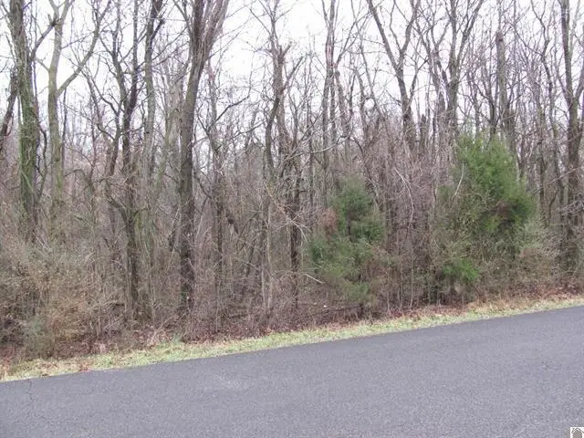 0 0 Rogers Loop, Mayfield, KY 42066 - #2