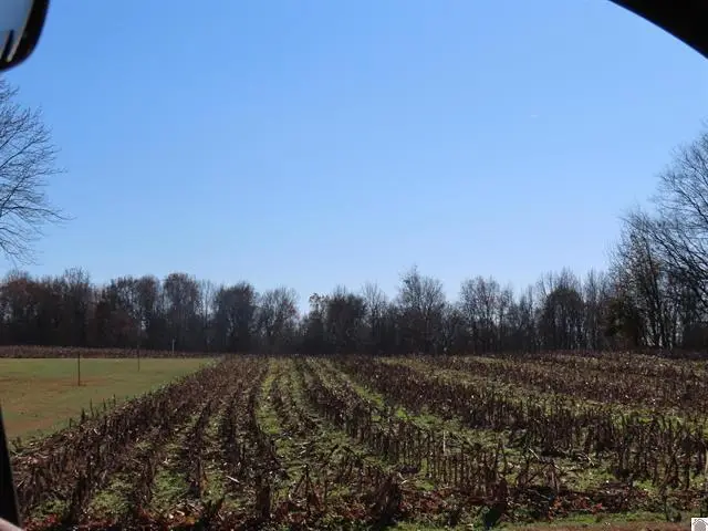 ST RT 45 S Boyd, Wingo, KY 42088 - #2
