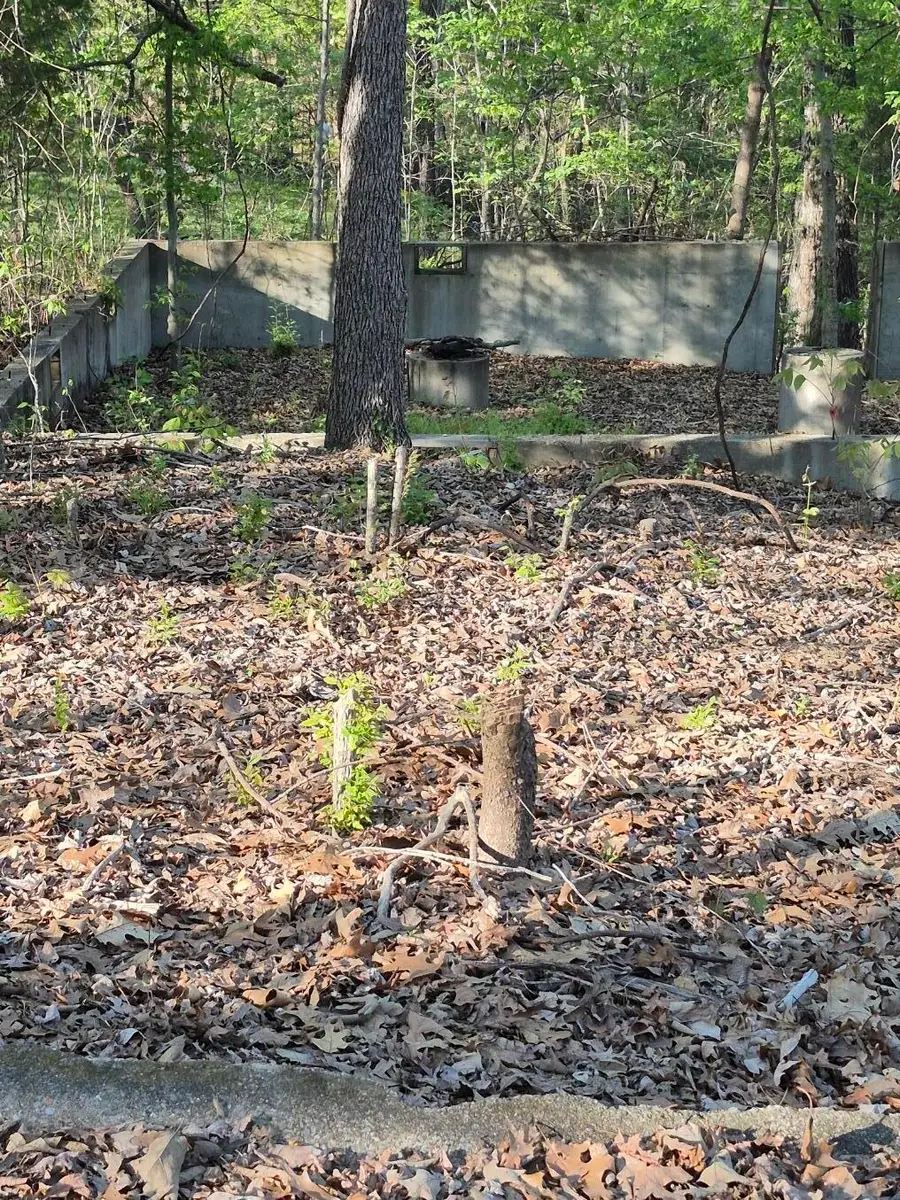 63OB00002 Bear Run Trail, Benton, KY 42025 - #2