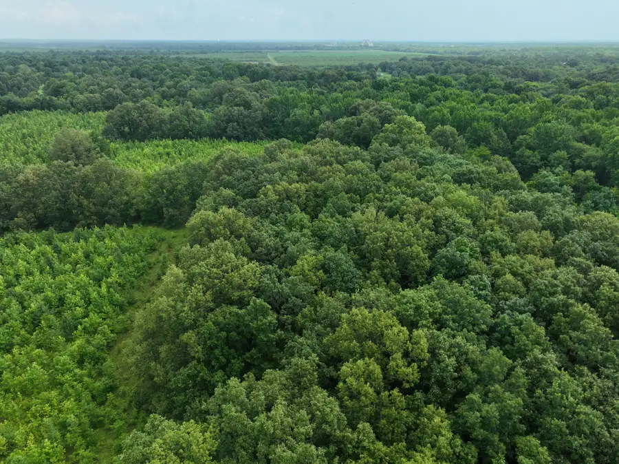 5300 Johnson Road, Paducah, KY 42001 - #2