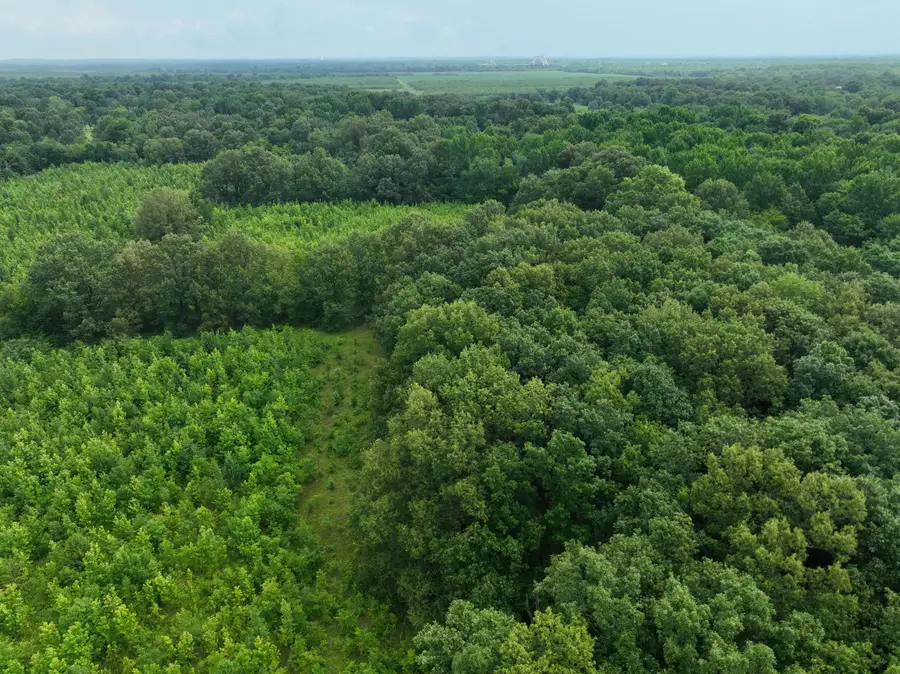 5300 Johnson Road, Paducah, KY 42001 - #3