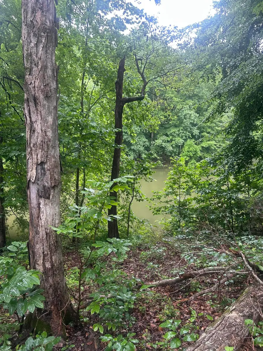 124 Woodfield Estates Drive #Lot 124-128, Cadiz, KY 42211 - #3