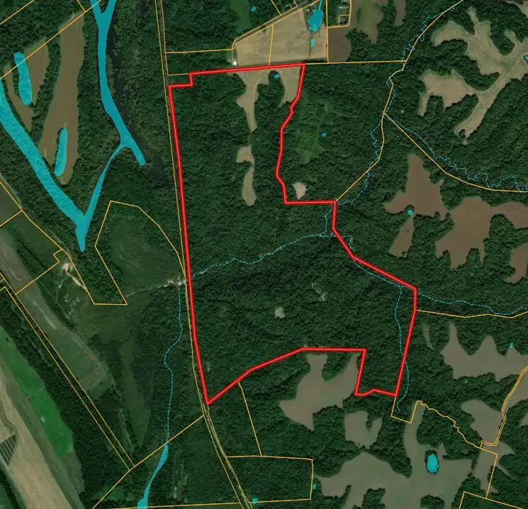 000 Sandy Branch Road, Bardwell, KY 42023 - #1