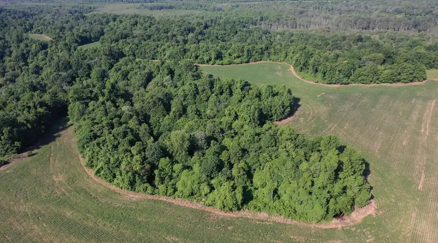 000 Sandy Branch Road, Bardwell, KY 42023 - #2
