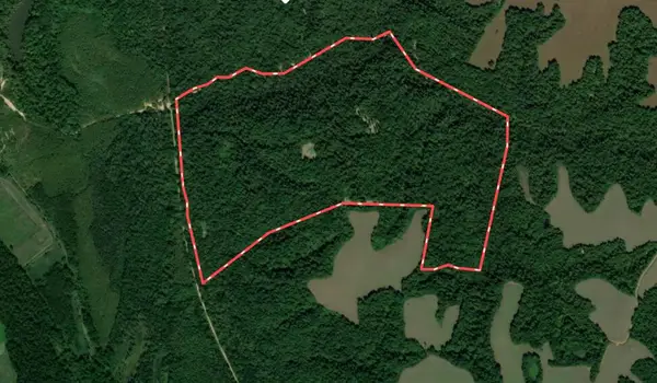000 Sandy Branch Road, Bardwell, KY 42023