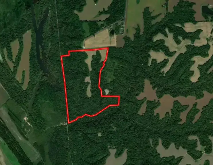 000 Sandy Branch Road, Bardwell, KY 42023 - #1