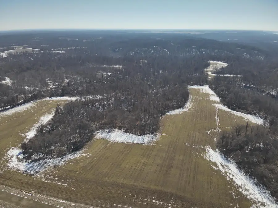 000 Sandy Branch Road, Bardwell, KY 42023 - #3