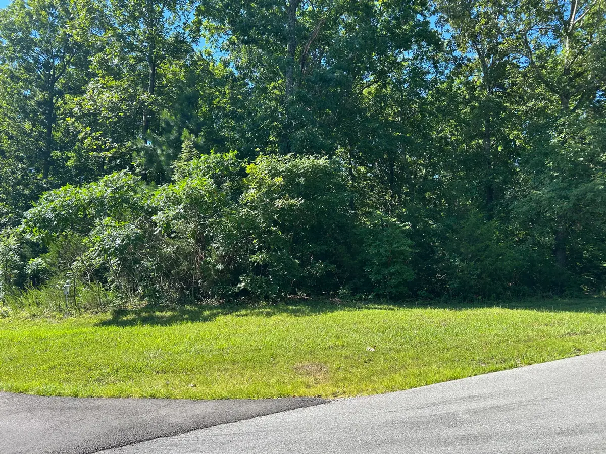 Lot 131 Deepwood Drive, Murray, KY 42071 - #1