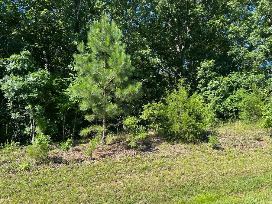 Lot 131 Deepwood Drive, Murray, KY 42071 - #3