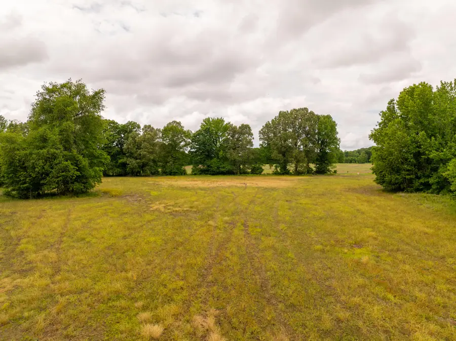 000 Gillahan Road #Lot 2, Ledbetter, KY 42058 - #2