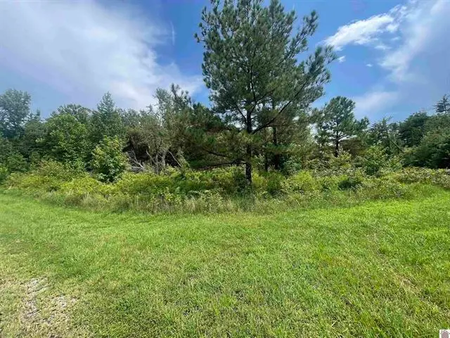 Lot #3 0 Deepwood Drive, Murray, KY 42071 - #1