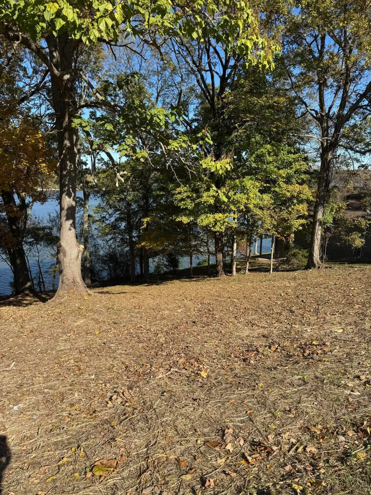 57 Cheekwood Lane, Cadiz, KY 42211 - #1