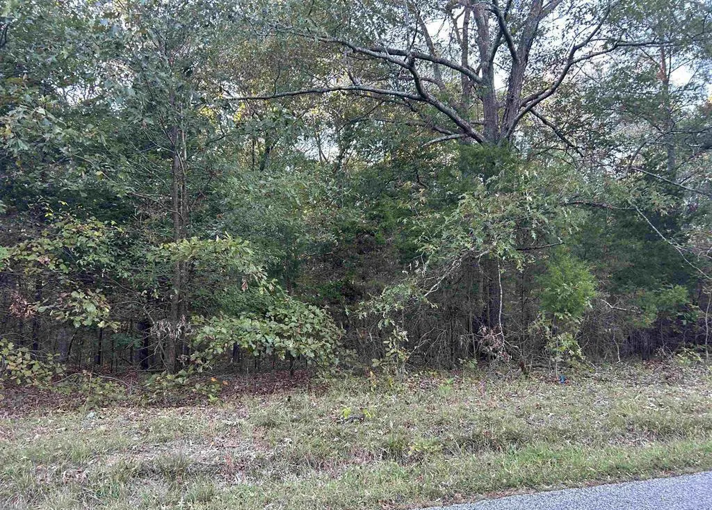 Lot 2 Beal Road, Hardin, KY 42048 - #1