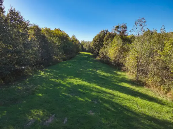 115 County Road 1039, Bardwell, KY 42023