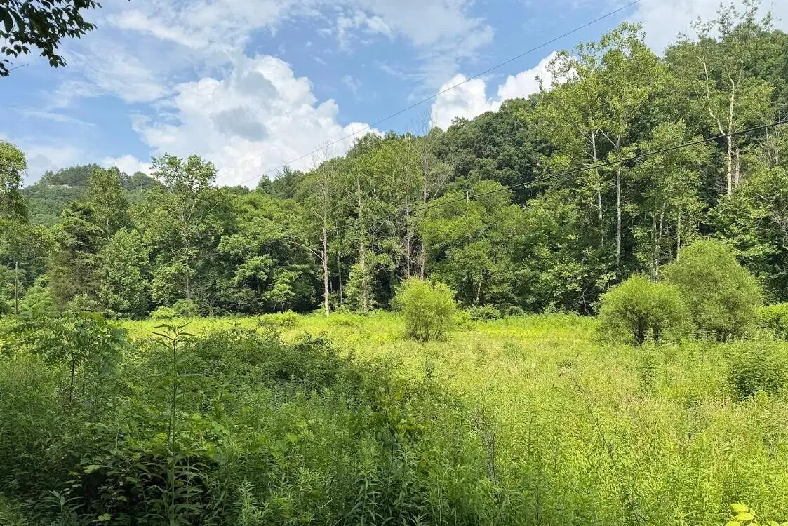 0 Meyers Fork Road, Denniston, KY 40316 - #1