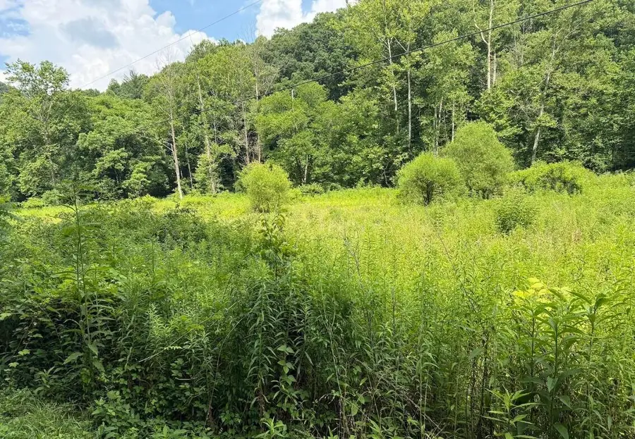 0 Meyers Fork Road, Denniston, KY 40316 - #2