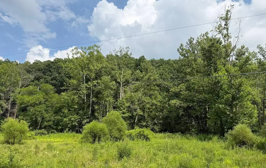 0 Meyers Fork Road, Denniston, KY 40316 - #3