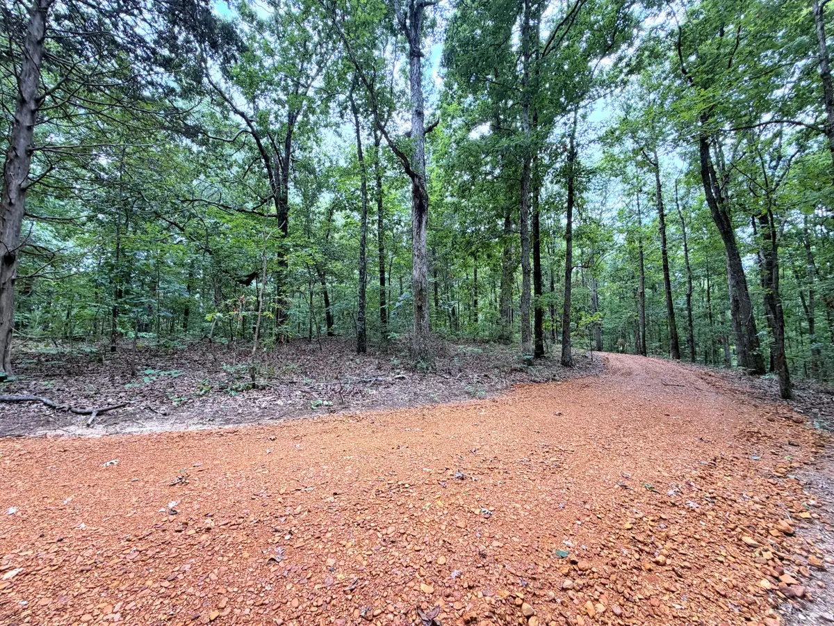 096-D-0002 Beat Farmer Road, New Concord, KY 42076 - #1