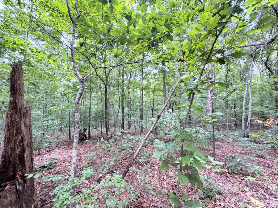 096-D-0002 Beat Farmer Road, New Concord, KY 42076 - #3