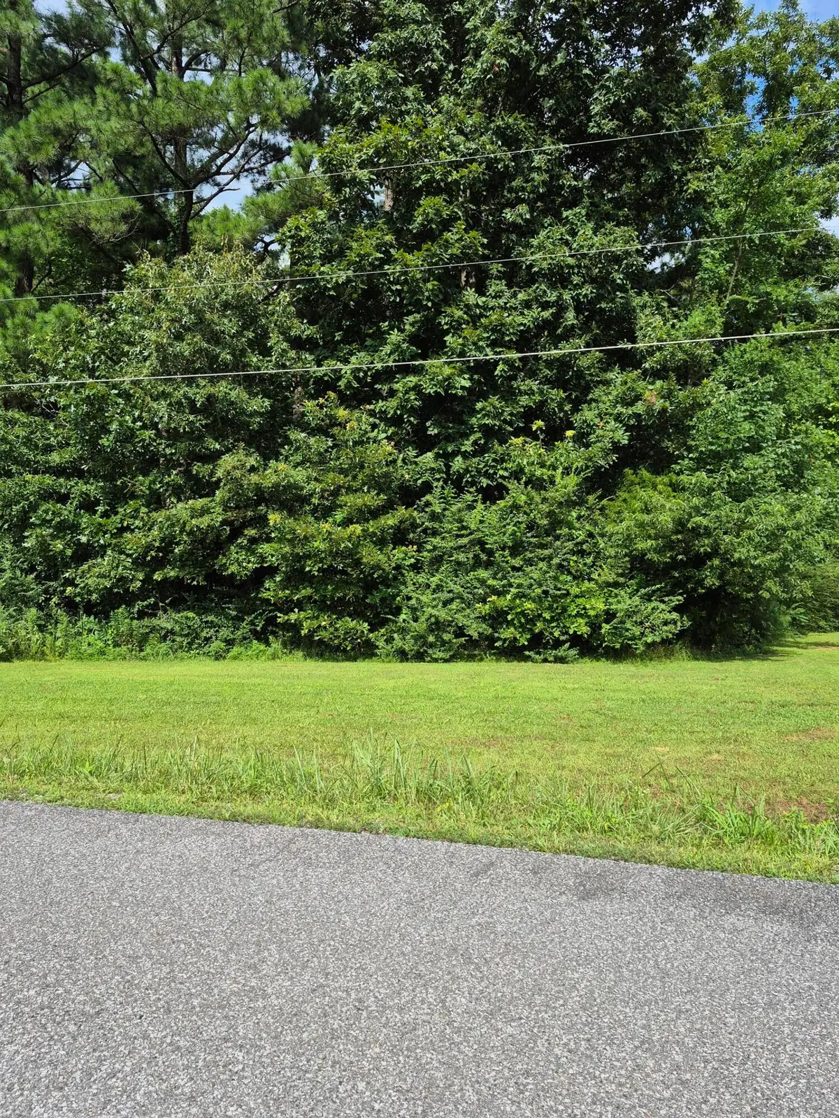 298 Southwood Drive #Lot 298, Gilbertsville, KY 42044 - #1