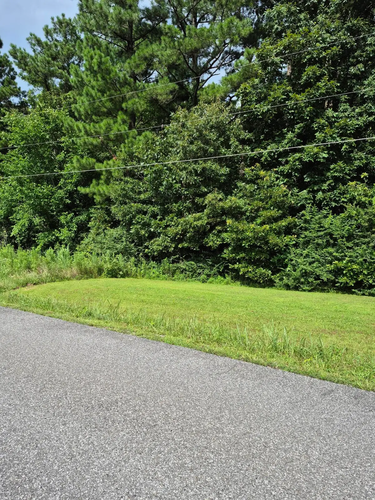 297 Southwood Drive #Lot 297, Gilbertsville, KY 42044 - #1