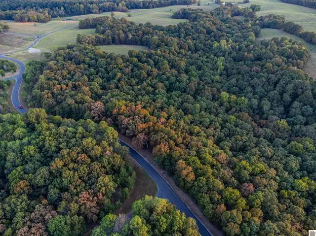 Lot 79b & 80 Waterfowl Road, Murray, KY 42071 - #2
