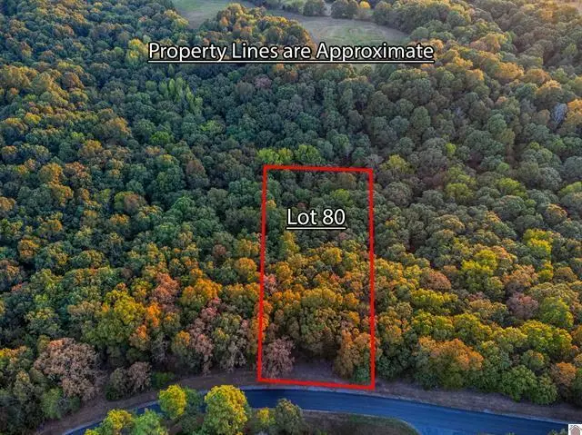 Lot 79b & 80 Waterfowl Road, Murray, KY 42071 - #3