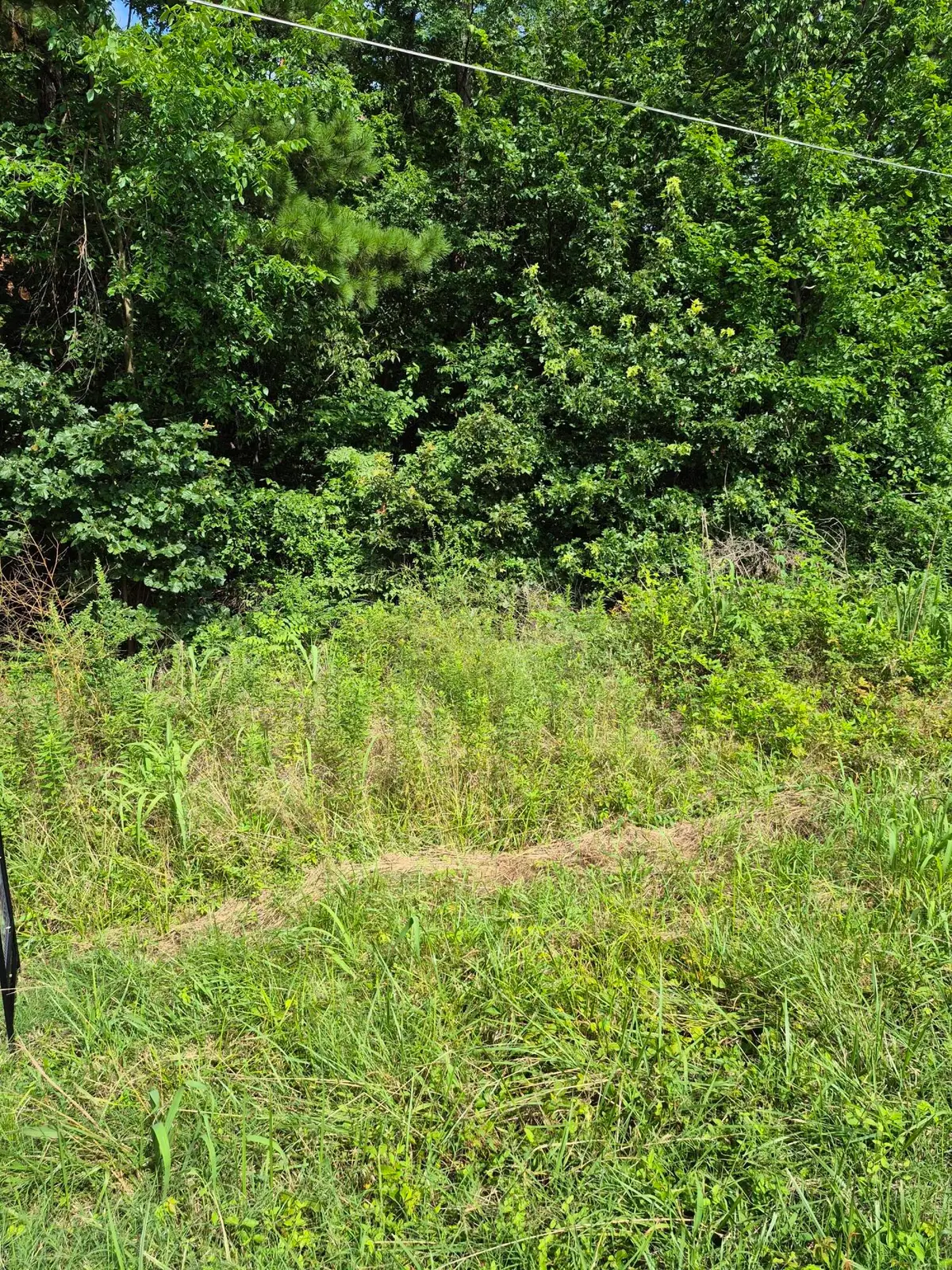 275 Hawkeye Road #Lot 275, Gilbertsville, KY 42044 - #1