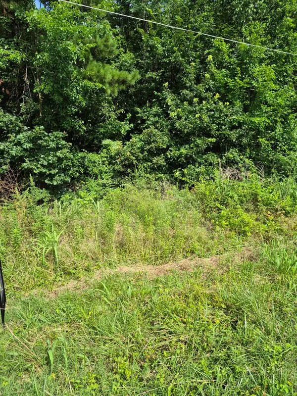 275 Hawkeye Road #Lot 275, Gilbertsville, KY 42044