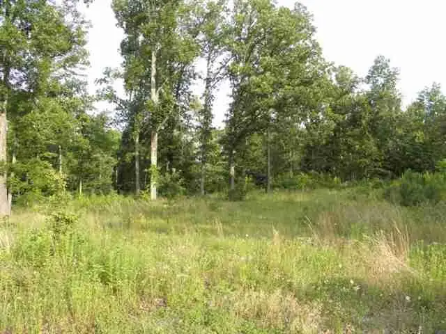 Lot 7 Woodridge Drive, Benton, KY 42025 - #2