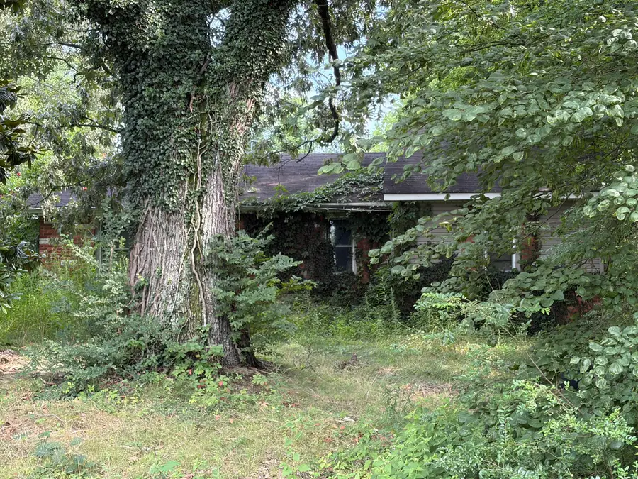 2720 Lovelaceville Florence Station Road, Paducah, KY 42003 - #3