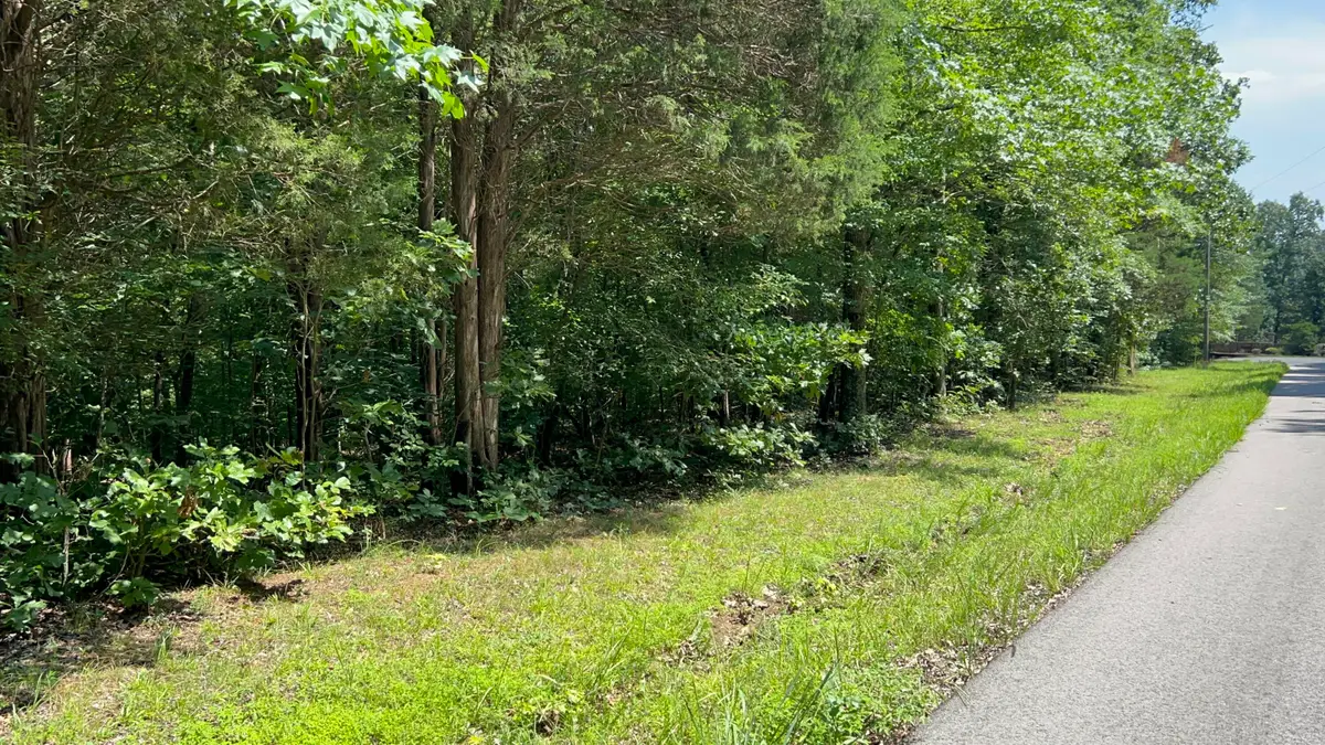 Lot 53 Baypoint Lane, New Concord, KY 42076 - #1