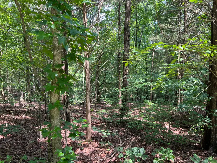 Lot 53 Baypoint Lane, New Concord, KY 42076 - #2