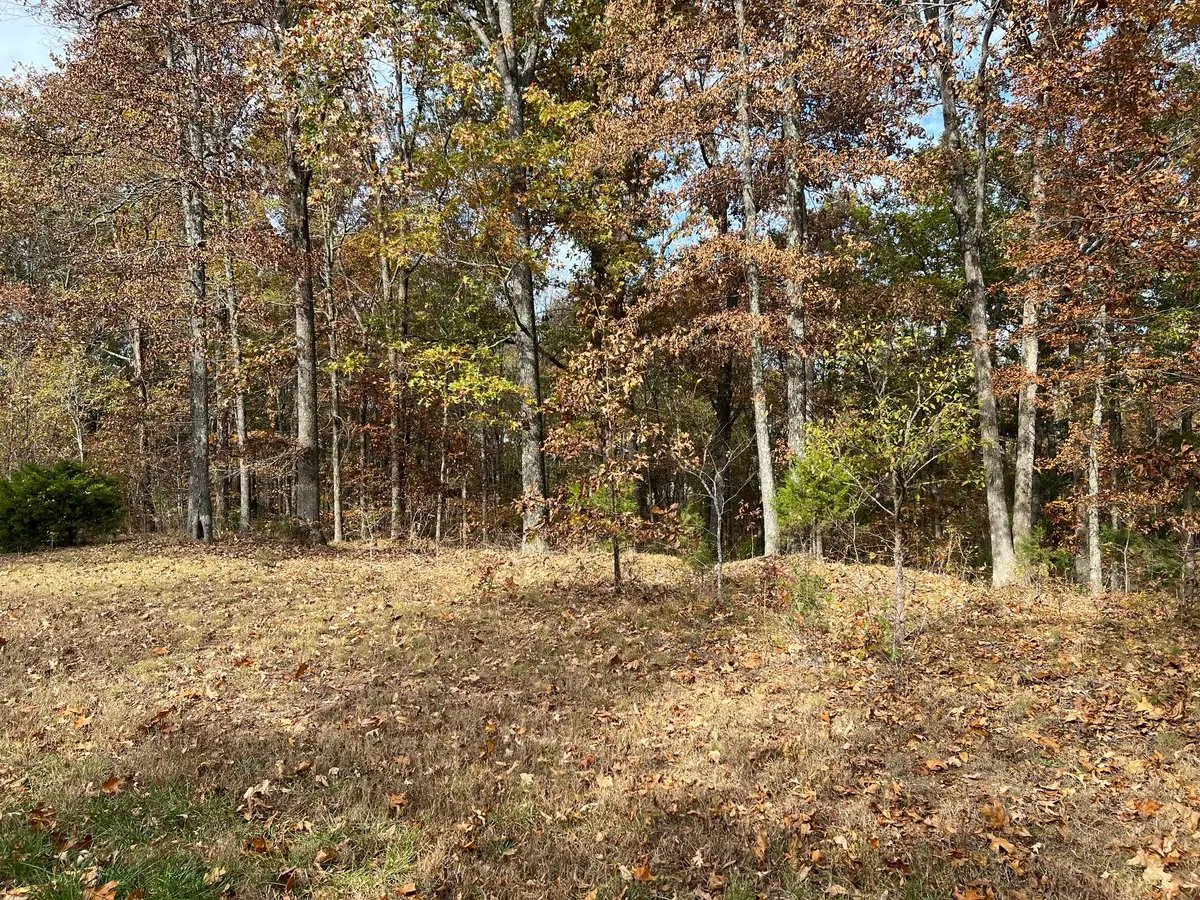 Lot 24 Haynes Cemetery Road, Murray, KY 42071 - #1
