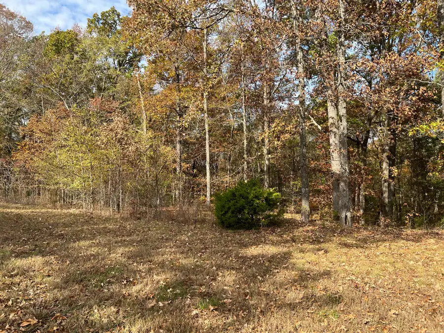 Lot 24 Haynes Cemetery Road, Murray, KY 42071 - #3