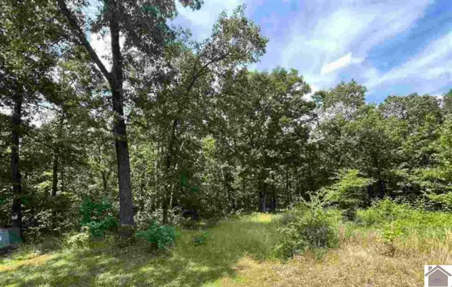 00 Dock Dr. Lot 66, Murray, KY 42071 - #2