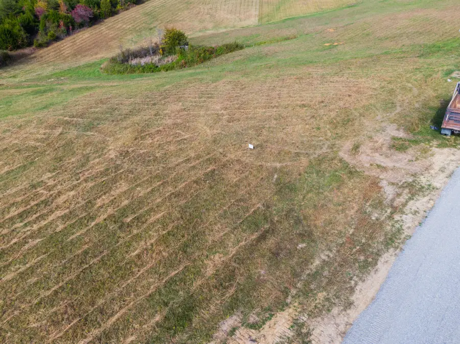 Lot 35 Spring Branch Hollow Road, Nancy, KY 42544 - #3