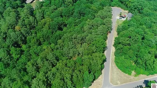 00  Streetland Lane #Lot 90, Murray, KY 42071 - #2