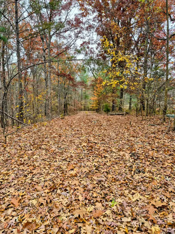 Lot #3 #4 #5 & 37.66 acre Bear Run Trail #3, Benton, KY 42025