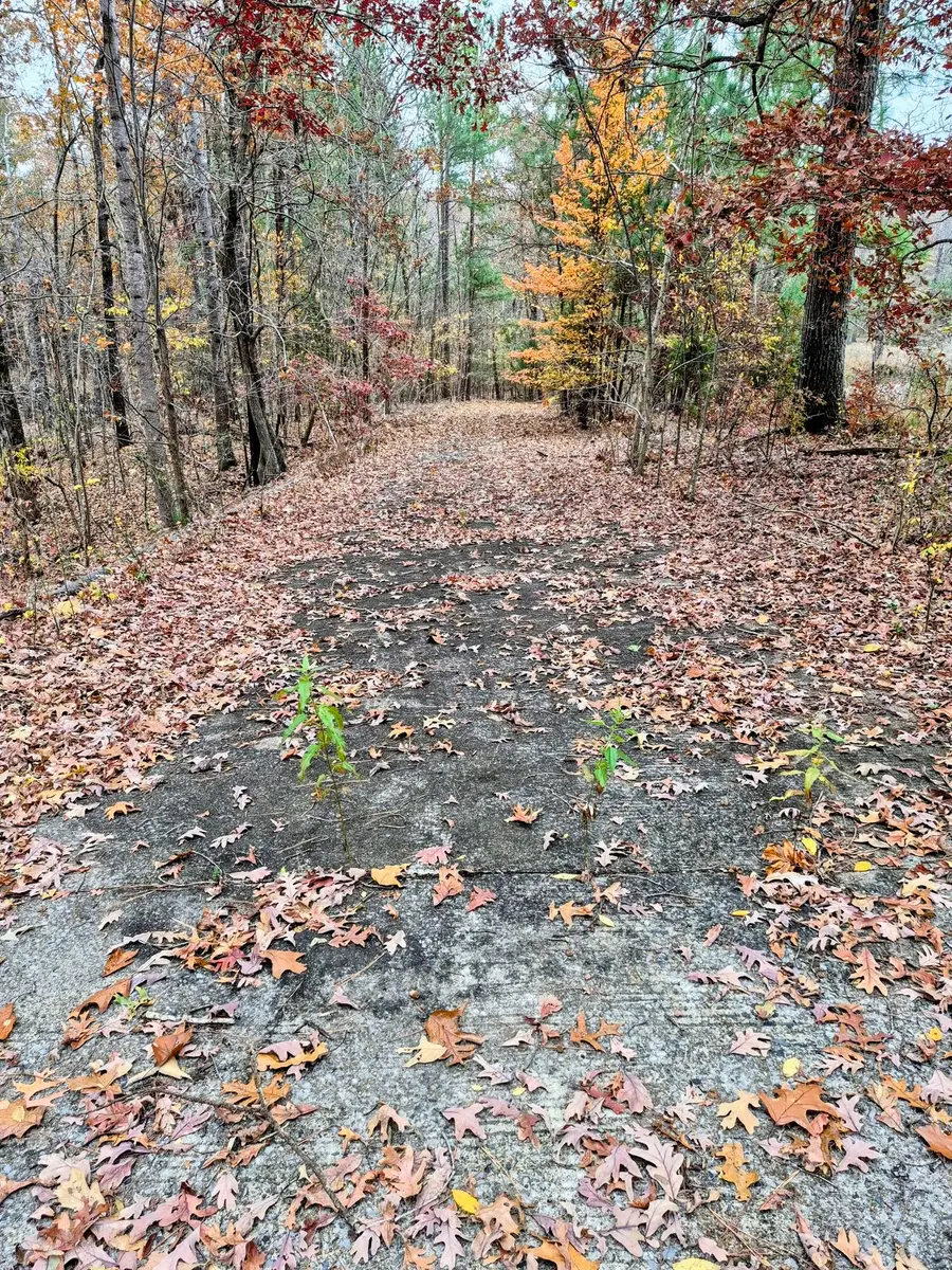 Lot #3 #4 #5 & 37.66 acre Bear Run Trail #3, Benton, KY 42025 - #3