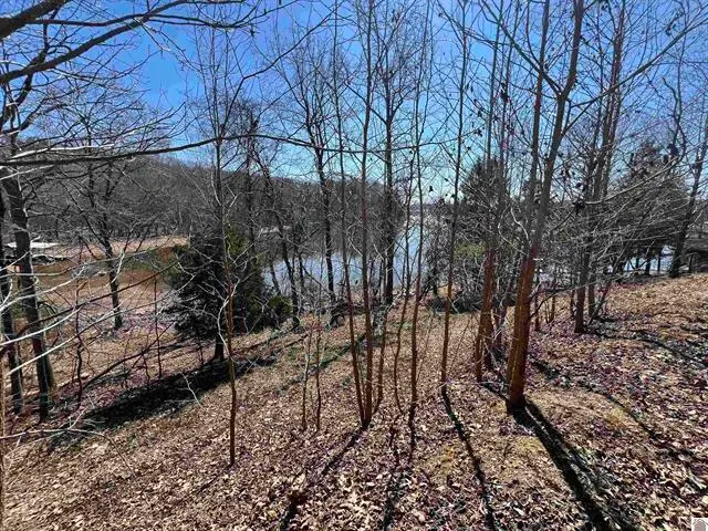 tract 4 Oak Ridge Road, Cadiz, KY 42211 - #1